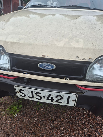 Ford p100 1989 osina