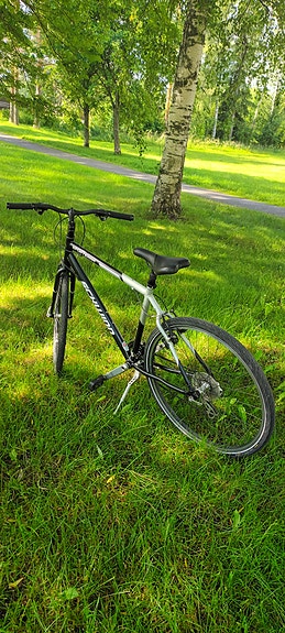 Schwinn Sporterra Hybrid USA  21v 28" L
