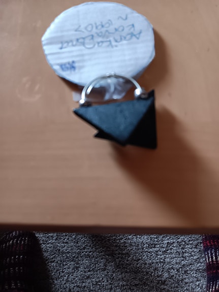 Aarikan hauskat korvakorut