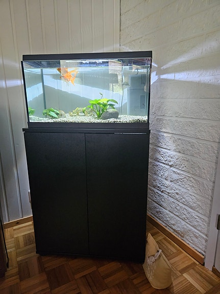 Aquael Leddy 60 akvaario ja kaappi