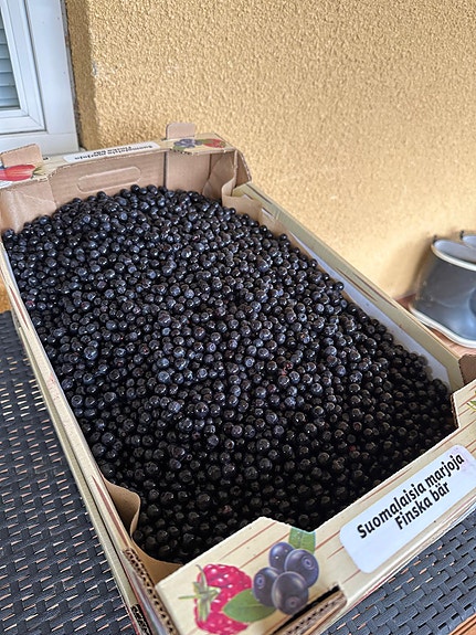 Mustikoita Heinolasta ja Lahdesta, 6 kg laatikoissa