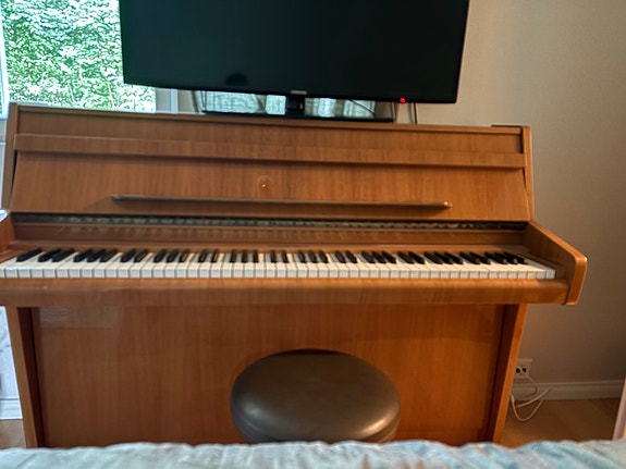Schimmel pystypiano puuviilu