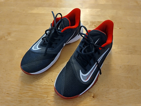 Nike koriskengät 41