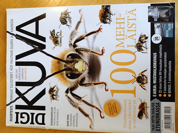 DIGI KUVA lehtiä