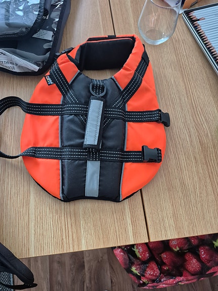 Koiran pelastusliivit