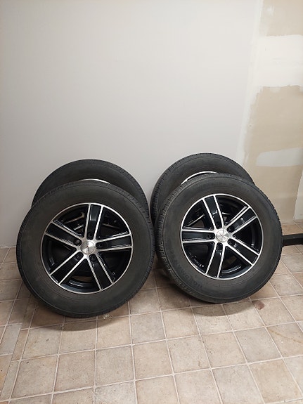 Transporter Dezent 16" vanteet