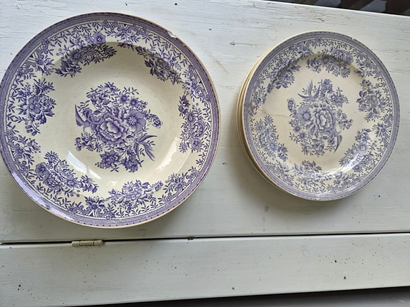 Arabian Fasaani lautaset, rotanhäntäleima