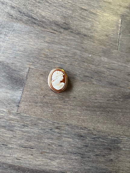 Upea kultainen camee-rintakoru / riipus (14k / 585