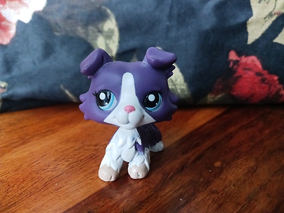 Lps collie koira