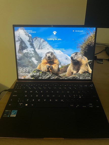 Asus ZenBook S UX393EA