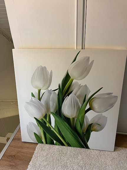 Asko tulppaani taulu 79x80cm