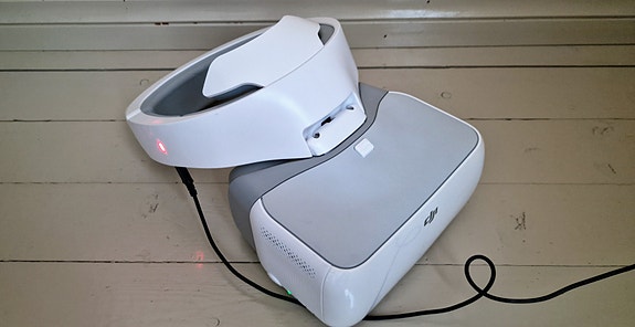 DJI Goggles