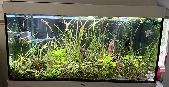 Myydään valmis Juwel Rio LED 350 l -akvaariopaketti