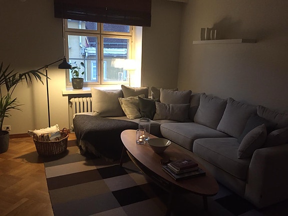 IKEA STOCKHOLM villamatto 250x350 cm ruskea/beige