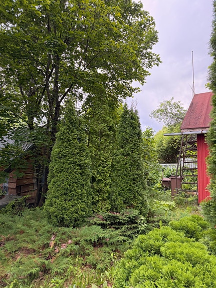 Tuijat pihalle tai aidanteeksi