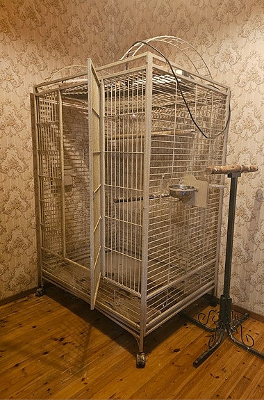 Lintuhäkki