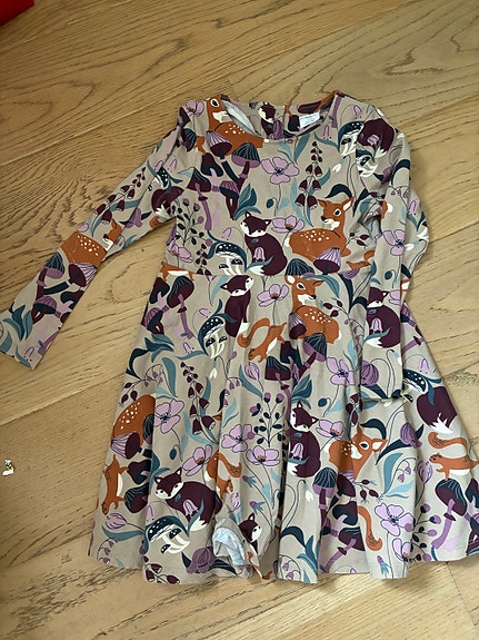 Polar o pyret mekko