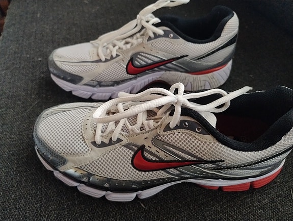 Nike Zoom structure