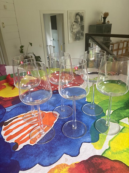 Iittala Essence punaviinilasit 6 kpl