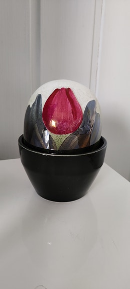 Heljä Liukko-Sundströmin Tulppaani ikikukka. Vain haku.