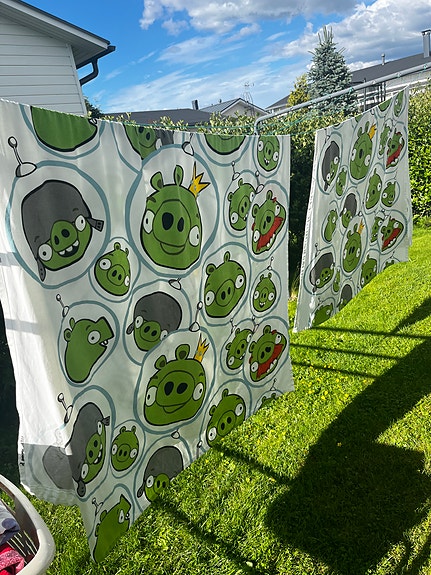 Angry Birds -verhot