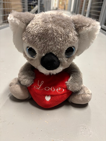 Pehmolelu Koala