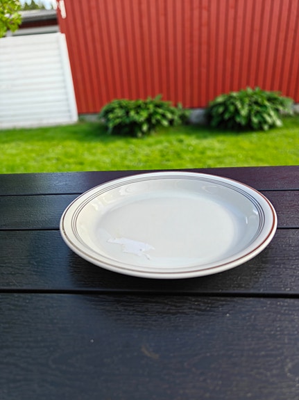 Arabia tarjoilulautanen