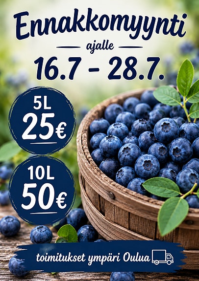 Mustikkaa Oulussa