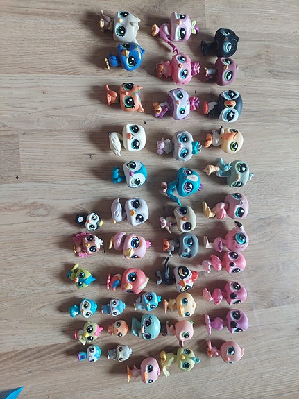 Lps lintuja