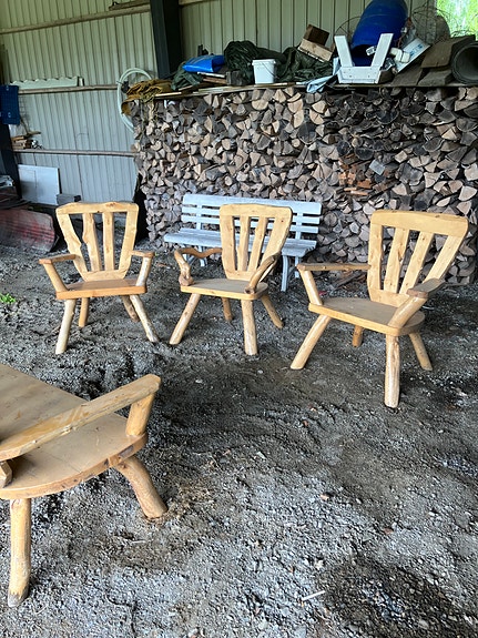 Koivupuu kalusto