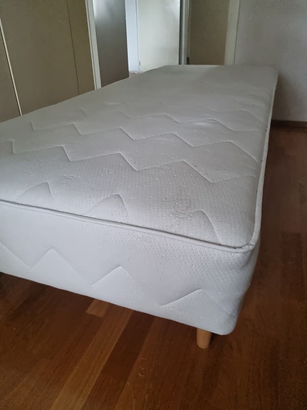 Runkopatja valkoinen