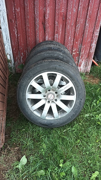 205/55r16 renkaat aluvantein