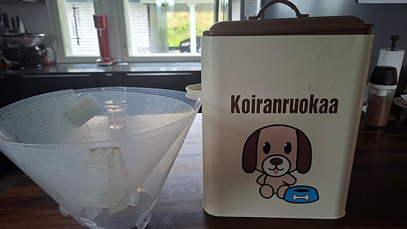 Koiran tarvikkeita