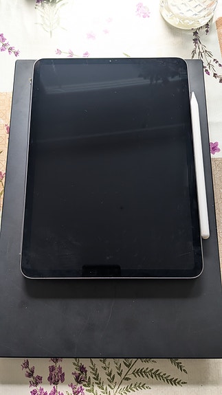 iPad pro (11 inch)