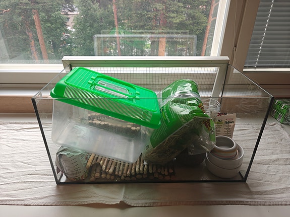 Terraario ja tarvikkeita pieneläimelle