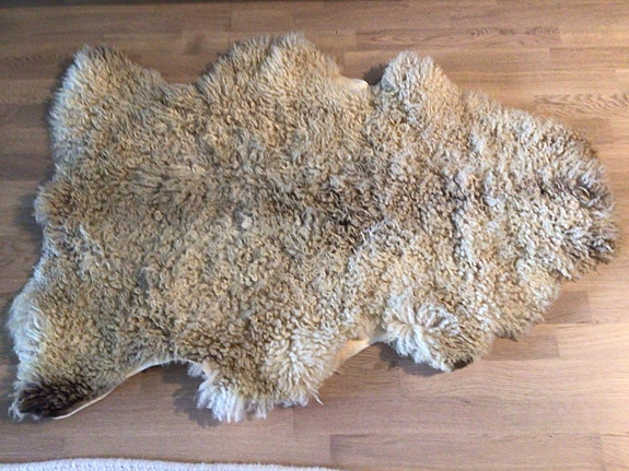 Lampaantalja