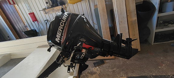 Mercury 9.9 4t efi
