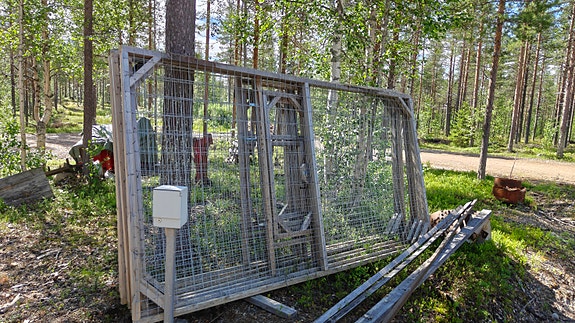 Koira häkki