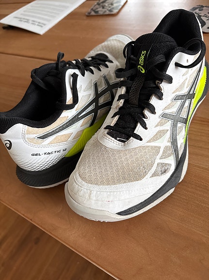 Asics sisäpelikengät
