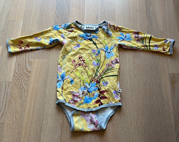 Molo body 68