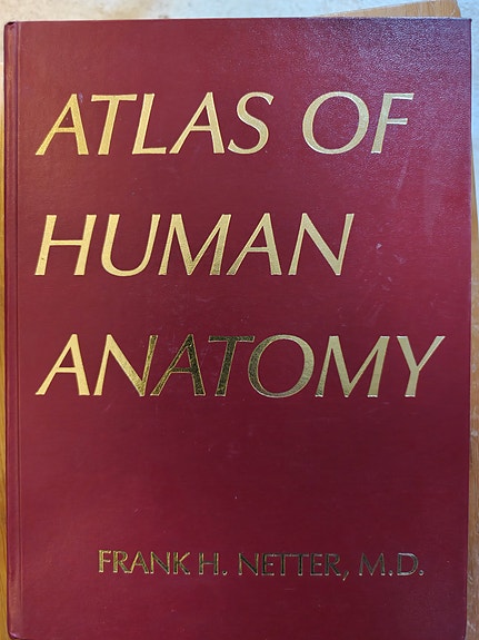Netter: Atlas of human anatomy