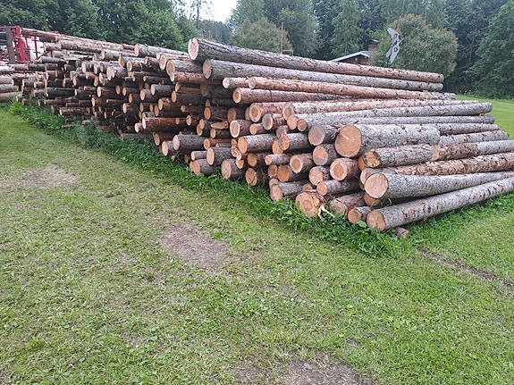 Polttopuu  rankaa