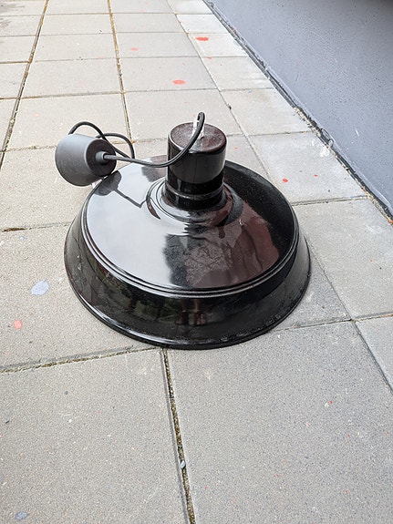 Musta kattovalaisin