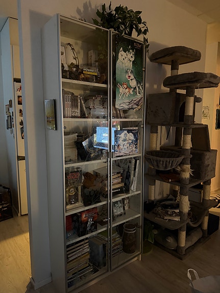 IKEA Billy kirjahylly