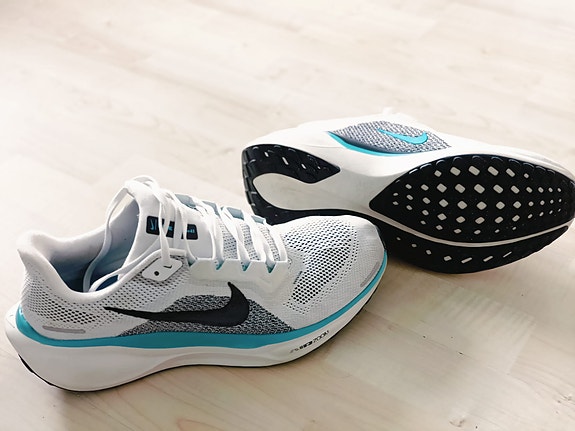 Nike Air performance pegasus41