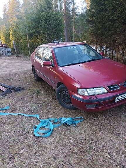 Nissan primera p11 osia