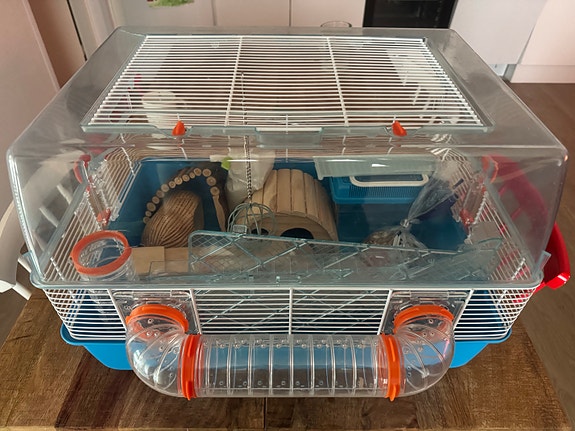 Kääpiöhamsterin häkki tarvikkeilla
