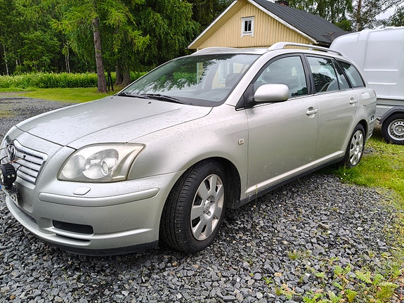 T25 Avensis osina