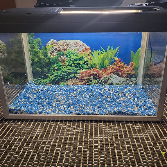 Akvaario 60l