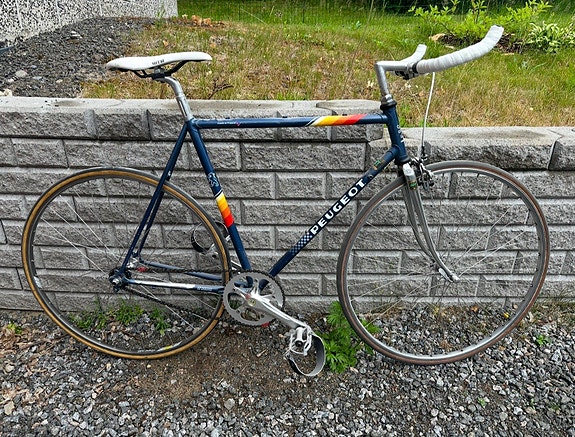 Peugeot maantiepyörä koko M